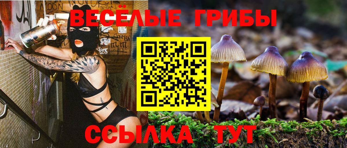 Заводоуковск  Галлюциногенные грибы Psilocybine cubensis  Вход с VPN  Галлюциногенные грибы Cubensis 