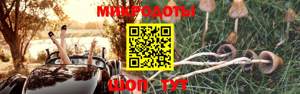 Псилоцибиновые грибы Cubensis Заводоуковск
